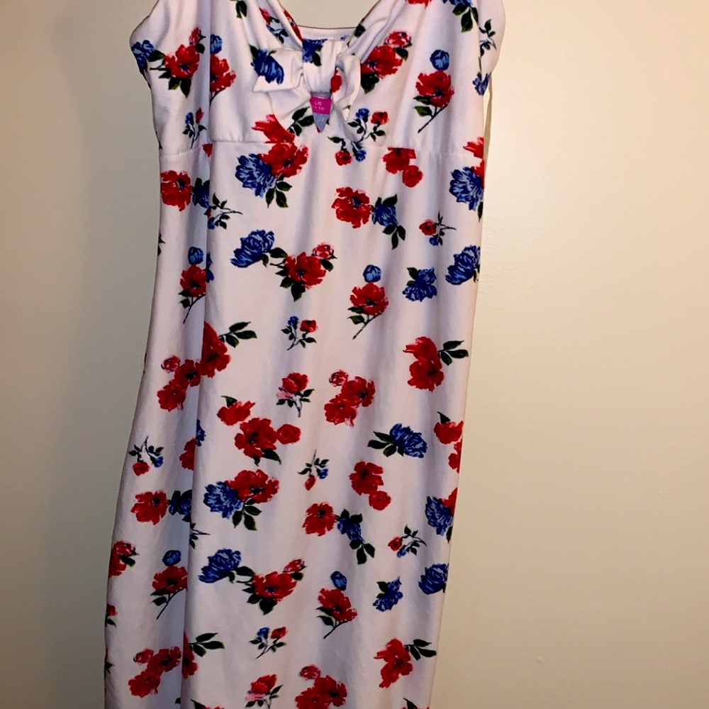 Red White and Blue Dress